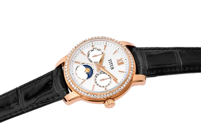 SOLVIL ET TITUS DEVOT W06-03263-001 MULTI-FUNCTION QUARTZ WOMEN WATCH - Image 2