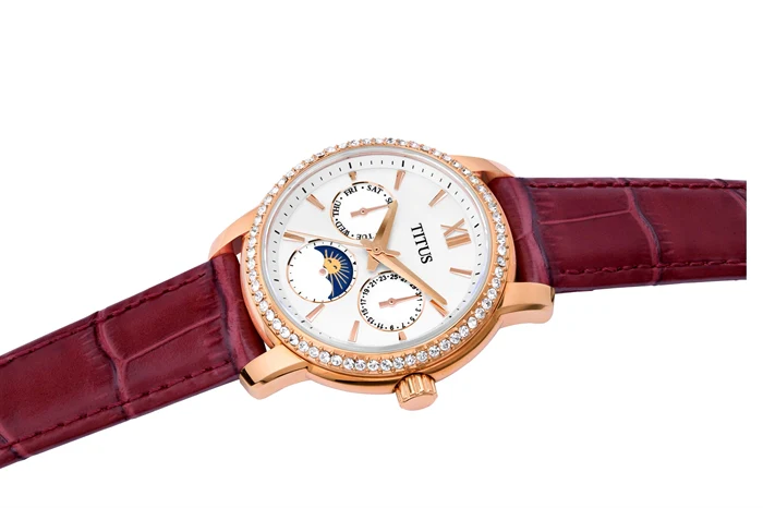 SOLVIL ET TITUS DEVOT W06-03263-003 MULTI-FUNCTION QUARTZ WOMEN WATCH - Image 2