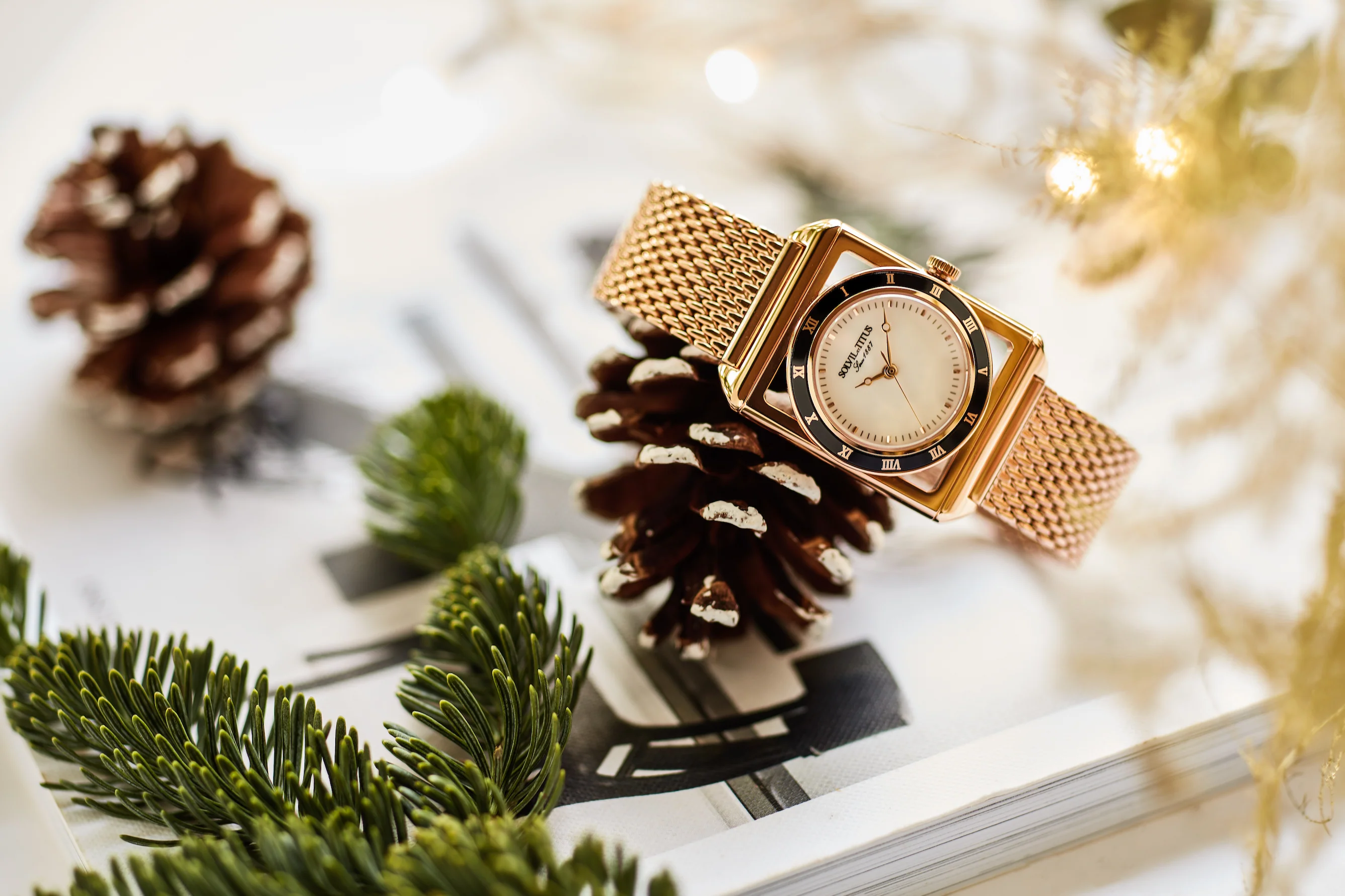 SOLVIL ET TITUS THE LETTER W06-03266-004 3 HANDS QUARTZ STAINLESS STEEL WOMEN WATCH - Image 4